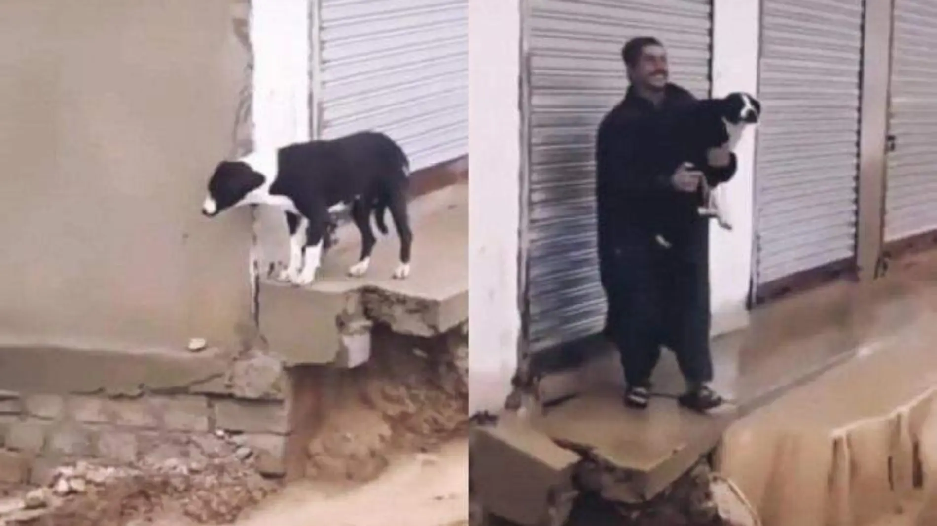 Perrito es rescatado por un hombre en plena lluvia